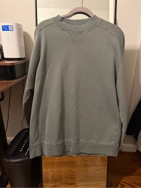 DSG Men's Crewneck Sweater in Sage